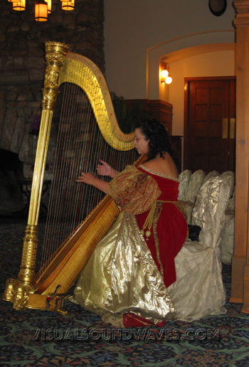 Harpist Deborah Nyack Wedding Reception Victoria Ballroom Chateau Lake Louise